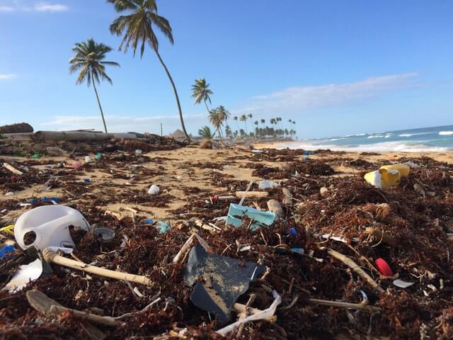 A beach strewn with litter